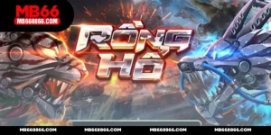 Rồng Hổ MB66